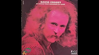 #David Crosby   I'd swear there was somebody here