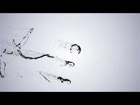 UMN_TV 1LV_ (21/22) Podstrana - Vet.LC Monty Python (Sažetak)