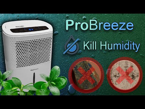 Pro Breeze Dehumidifier - Does it Really Help?! How to get rid of the damp and unwanted moisture?