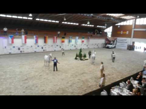 Prague intercup 2016, top five senior male mercedes benz european cup.