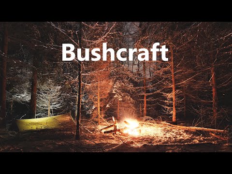 ZAWP 41 - Zimowy biwak w lesie [40 minut dobranocki]