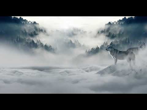 The Void Wanderer x Dylbsure - No Time