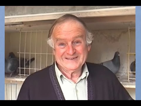 Video 188: Ward Brothers of South Elmsall: Premier Pigeon Racers