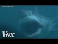 Does Megalodon still exist? Shark Week debunked ...