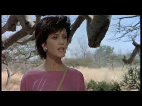 The Gods Must Be Crazy II - Survival in the Kalahari