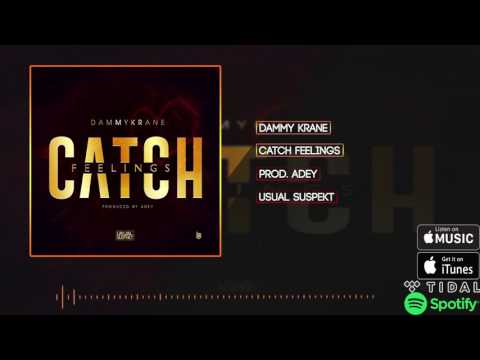 Dammy Krane - Catch Feelings (Official Audio)
