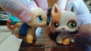 Uh sad story....funny I donno??????