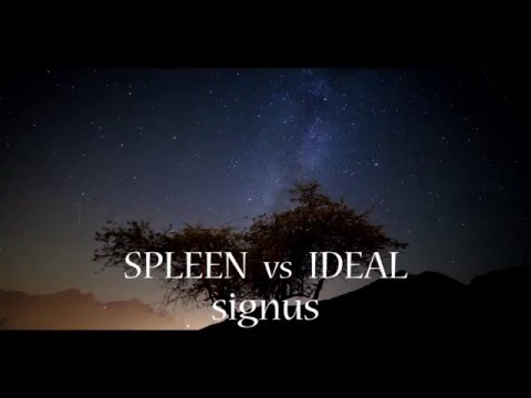 Spleen vs Ideal - signus - souvenirs LP