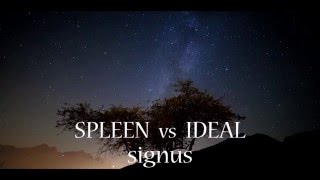 Spleen vs Ideal - signus - souvenirs LP