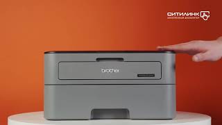 Характеристики Принтер лазерный Brother HL-L2300DR черно-белый, цвет ...