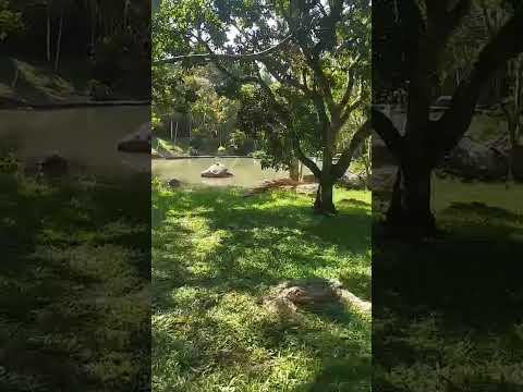Finca la duque Barbosa Antioquia
