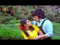 ரோஜாவை தாலாட்டும் தென்றல் பாடல் Rojavai Thal