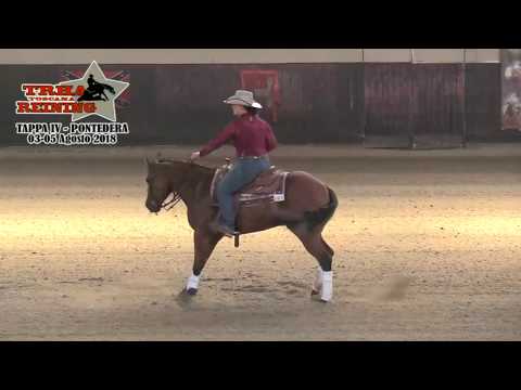 Snafflebit e 4 tappa TRHA 2018 - PUCCINELLI VERONICA sul suo OT TUNE WITH RESOLVE con score 70