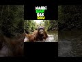 Take A Bath Aicontent Gueorangutan Comedy Funny Veo3 Orangutanvlog Orangutan