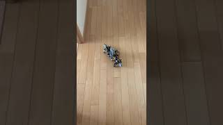ストランドビーストを改良してみた