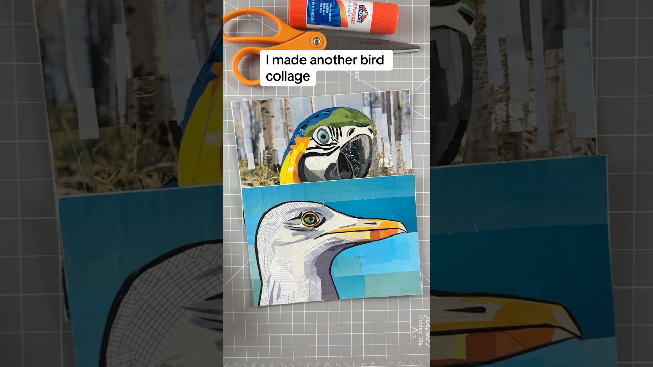 One bird then another and another one 😁 and all made from magazine cutouts