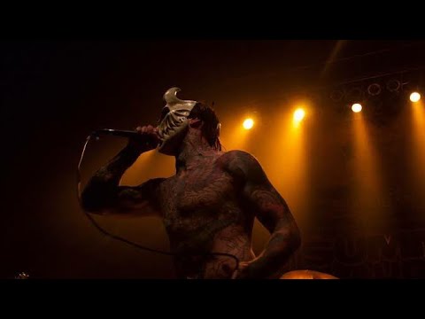 this Alex terrible "Scream and GROWL"