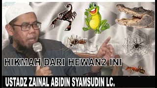 Download lagu LUCU MENGGEMASKAN !!! Ust. Zainal Abidin Cerita Tentang Hikmah Hewan-Hewan Ini !! mp3
