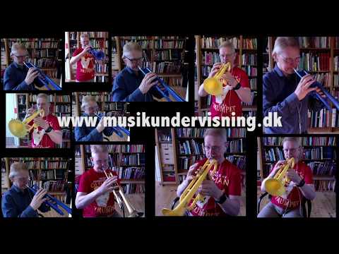 Suzuki trompet undervisning