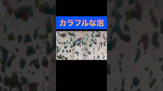 【大はしゃぎ】🇺🇸でドライブスルー洗車をしたら楽しすぎた　＃アメリカ　#ドライブ　＃ロードトリップ