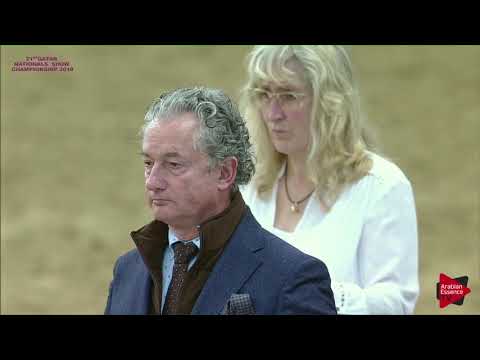 245 BENEDETTA INZ - 21st Qatar National 2018