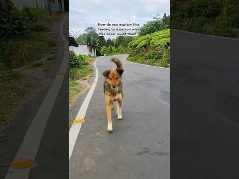 The way they run to you ✨🥹