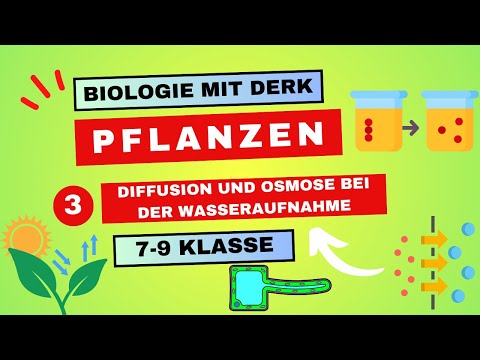 Pflanzen | 3 | Diffusion und Osmose bei der Wasseraufnahme | 7 - 9 Klasse