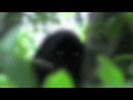 Bigfoot or Demon ghost caught on tape Sintra ...