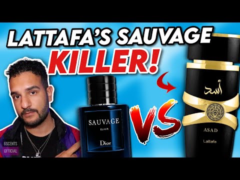 LATTAFA ASAD vs DIOR SAUVAGE ELIXIR Fragrance Review! Best Sauvage Elixir Arabic Inspiration Perfume