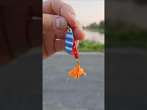 Can This $1 Spinner Actually Catch Fish?!