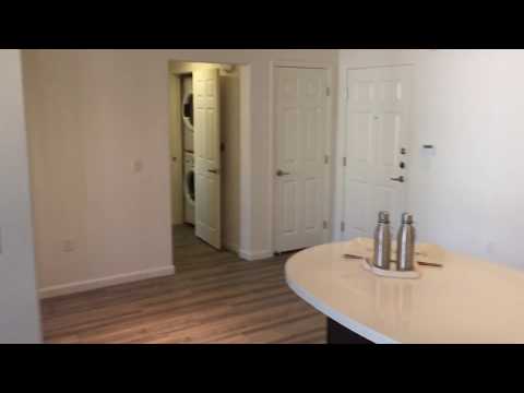 Solterra Aurora 1 Bedroom 227