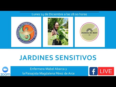Sentidos video