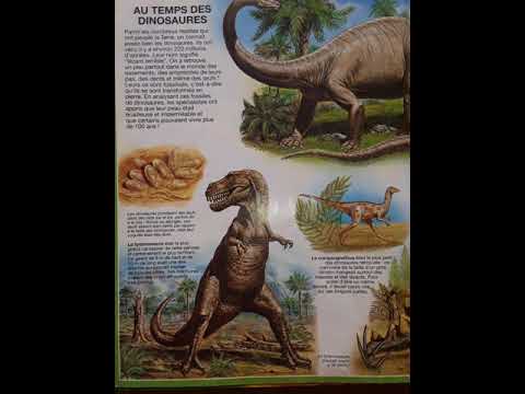 l'Atlas des animaux : Au tempes des dinosaures (2eme)