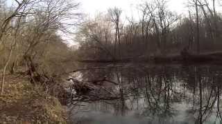 preview picture of video 'Fishing for Trout at the Pennypack Creek with Spinners (Northeast Philadelphia, PA)'
