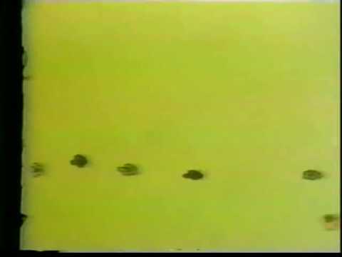 The Letter People TV 24 Meet Mister C