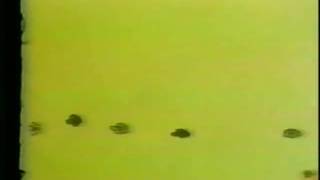 The Letter People TV 24 Meet Mister C