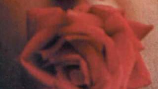 The Beatles - Serve Yourself