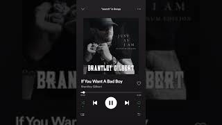 If You Want A Bad Boy (by. Brantley Gilbert)
