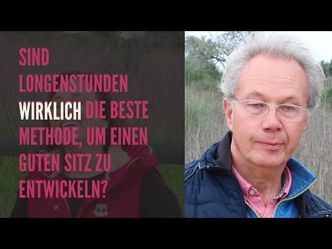 Sind Longenstunden WIRKLICH die beste Methode, um einen guten Sitz zu entwickeln?