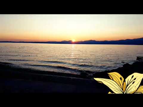 Mein erstes mal MDMA/XTC Ehrfahrungsbericht