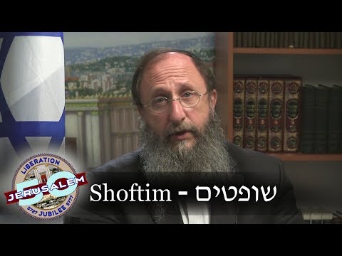 Weekly Torah Portion: Shoftim