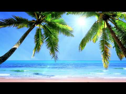 Candelion Playlist - Acoustic, Laid Back, Romantic & Sad Songs