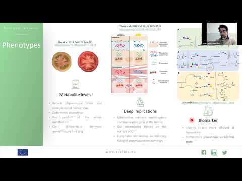 Metabolomics - Experimental design, sample preparation and data analysis
