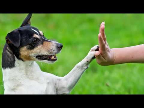 Shadowbrook Apartments in West Valley City, UT - ForRent.com