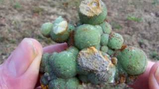 preview picture of video 'Large Arkansas Wavellite Floater Specimen'