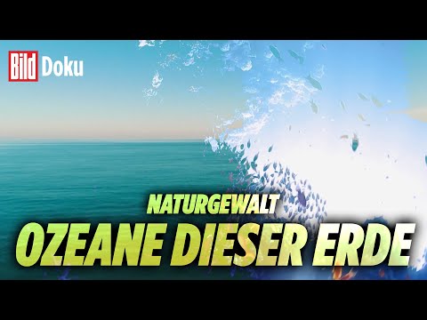 Ozeane dieser Erde: Die Macht des Meeres und ihre „Naturgewalten“ | BILD Doku