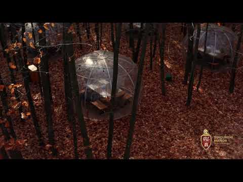 Sunday Brunch in the forest