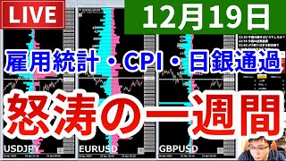 【重要イベント通過、乱高下続く、方向感は＆今週の投資結果＆新企画の時代到来】2025年12月19日（金）FX実況生配信カニトレーダーチャンネル生放送1314回目