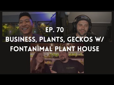 Business, Plants, Geckos w/ Fontanimal Plant House | Ep. 70 of The Gecko Pod