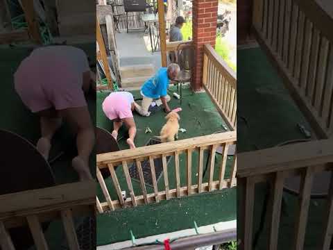 Old Heads Beef Over Two Dollars!